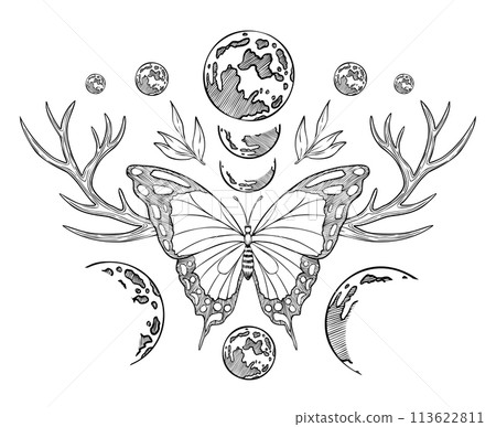 Butterfly with moons and deer horns. Vector lustration of an insect with wings and antlers in a magical celestial composition. Magical drawing in linear style for tattoo. Vintage esoteric print. 113622811