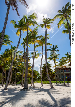 Bavaro beach in sunny day with calm ocean and white beach, Dominican republic Bavaro beach in sunny day with calm ocean and white beach, Dominican republic 113623194