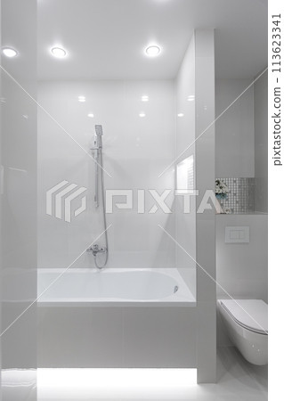Interior bathroom with white tiles 113623341