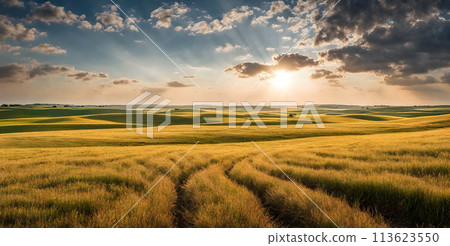 Landscape bathed in the glow of a radiant sun embodying minimalism Landscape bathed in the glow of a radiant sun embodying minimalism 113623550