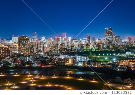 宮城縣仙台市 從仙台城遺址看到的仙台市夜景 113623582