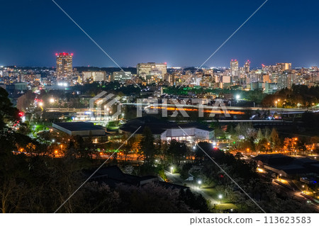 Sendai City, Miyagi Prefecture Night view of Sendai City from the ruins of Sendai Castle 113623583