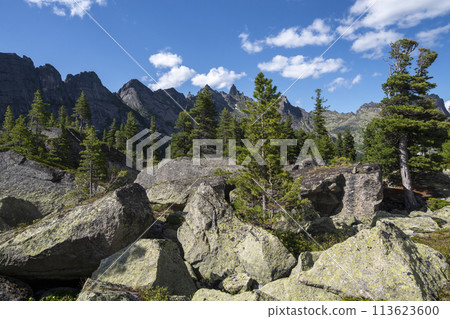 Cedars grow on the rocks, large granite boulders in the foreground. 113623600