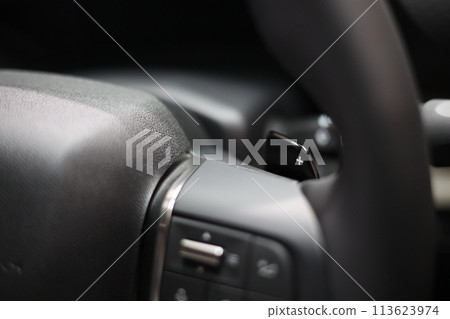 安裝在汽車方向盤附近的換檔開關 安裝在汽車方向盤附近的換檔開關 113623974
