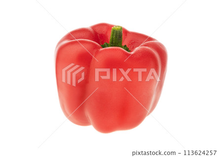 Bright red peppers on white isolated background for vegetarian dishes closeup with copy space 113624257