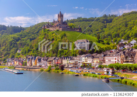 View of Cochem, Germany 113624307