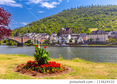 View of Cochem, Germany 113624310