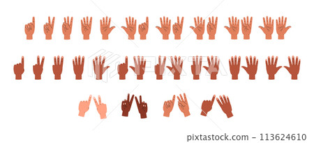 Hands of people of different ethnicity count with fingers, vector isolated. 113624610