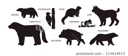 Taiga animals silhouette with names set of vector illustrations 113624613