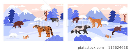 Taiga wild animals on winter nature landscape with mountain and river vector illustrations set, cartoon Northern animals Taiga wild animals on winter nature landscape with mountain and river vector illustrations set, cartoon Northern animals 113624618