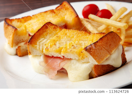 Mozzarella cheese and prosciutto hot sandwich 113624726