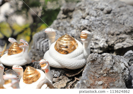 Shibamata Taishakuten (Taishakuten Daikyoji Temple) Two-headed white snake 113624862