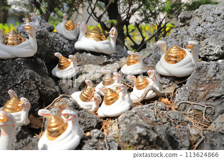Shibamata Taishakuten (Taishakuten Daikyoji Temple) Two-headed white snake Shibamata Taishakuten (Taishakuten Daikyoji Temple) Two-headed white snake 113624866