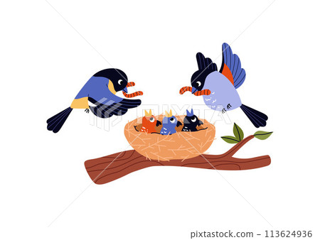 Vector of birds feeding chicks in a nest. Flat style and isolated background. 113624936