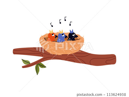 Bird's Nest. Cheerful chicks sing a song in the nest. Isolated illustration. Bird's Nest. Cheerful chicks sing a song in the nest. Isolated illustration. 113624938