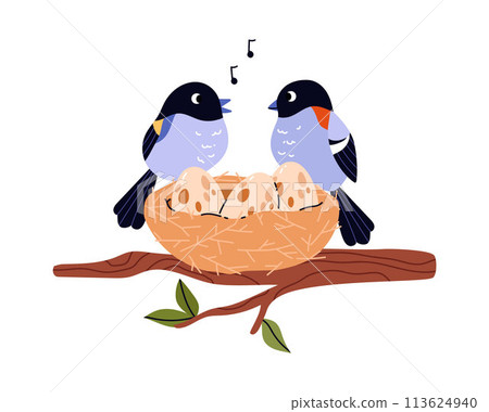 Parent birds serenade at nest vector illustration 113624940