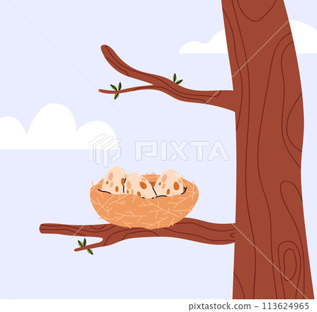 Nest with spotted eggs on the tree branch, vector cartoon bird house on the wood, nature wildlife, nestling 113624965