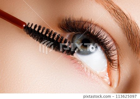 Mascara applying closeup, long lashes. Mascara Mascara applying closeup, long lashes. Mascara 113625097