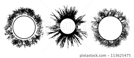 Tribal Thorn Circle Frame set, gothic style. Abstract Round Ornament. Vector illustration 113625475
