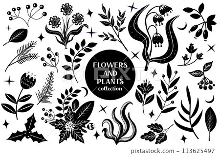 Set of black abstract flowers and leaves.botanical linocut plant and organic elements, herbs print. vector illustration 113625497