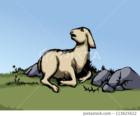 Vector drawing. The sheep got lost in the field Vector drawing. The sheep got lost in the field 113625622
