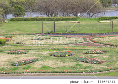 位於江戶川河床的“柴又公園” 113625843