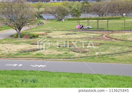 位於江戶川河床的“柴又公園” 位於江戶川河床的“柴又公園” 113625845