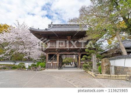 [No.1 Fudasho]櫻花盛開的神山寺廟的Niomon門[四國88處] 113625985