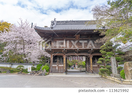 [No. 1 Fudasho] Niomon gate of the sacred mountain temple in which cherry blossoms bloom [Shikoku 88 places] 113625992