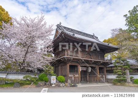 [No.1 Fudasho]櫻花盛開的神山寺廟的Niomon門[四國88處] 113625998