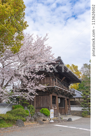 [No. 1 Fudasho] Niomon gate of the sacred mountain temple in which cherry blossoms bloom [Shikoku 88 places] 113626002