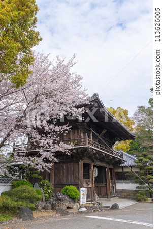 [No. 1 Fudasho] Niomon gate of the sacred mountain temple in which cherry blossoms bloom [Shikoku 88 places] 113626005