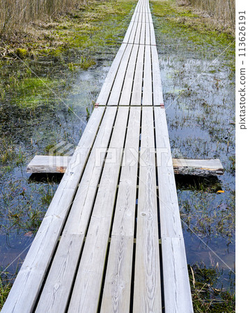 Long wooden boardwalk across a swampy area, early spring, perspective view Long wooden boardwalk across a swampy area, early spring, perspective view 113626191