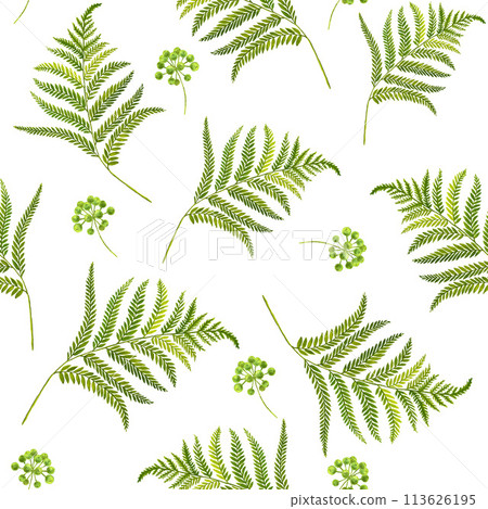 Watercolor seamless pattern with branches and leaves. Hand painted leaves and branches isolated on white background. Illustration for design, print, fabric or background. 113626195