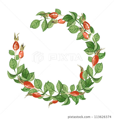 Watercolor illustration. A wreath of green rosehip leaves and red rosehips, all elements painted in watercolor on a white background. Suitable for printing on fabric and paper, textiles, design. 113626374