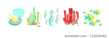 Fish and Coral with Shell and Algae as Sea Bottom Element Vector Set 113626469