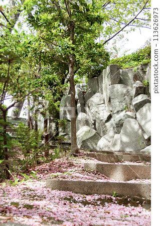 Stone steps covered with cherry blossom petals 113626973