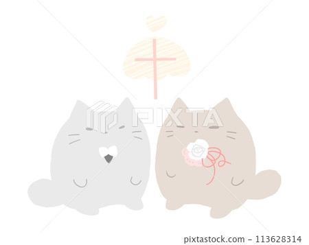 已婚貓 已婚貓 113628314