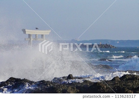 A floating torii gate on the sea battered by big waves 113628317