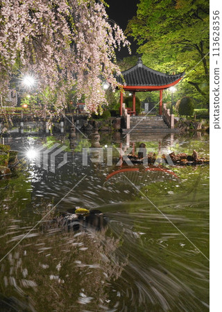 雨後岐阜公園日中友誼花園的花筏 113628356