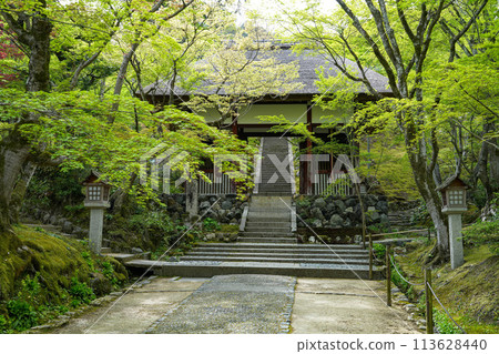 Jotokoji寺 113628440