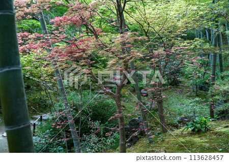 Jotokoji寺 Jotokoji寺 113628457