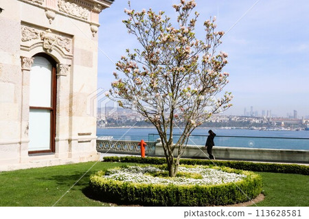 View from Topkapi Palace, World Heritage Site, Istanbul, Türkiye 113628581