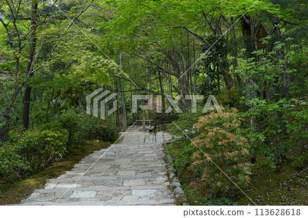 Jotokoji寺 Jotokoji寺 113628618