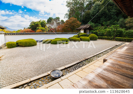 Autumn Kyoto Shodenji Hojo Garden Autumn Kyoto Shodenji Hojo Garden 113628645
