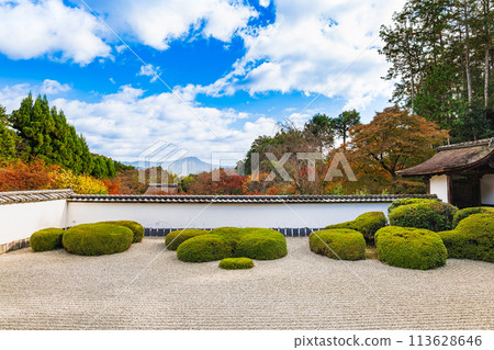 秋天的京都書傳寺北條花園 113628646