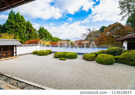 秋天的京都書傳寺北條花園 113628647