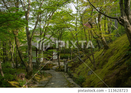 Jotokoji寺 113628723