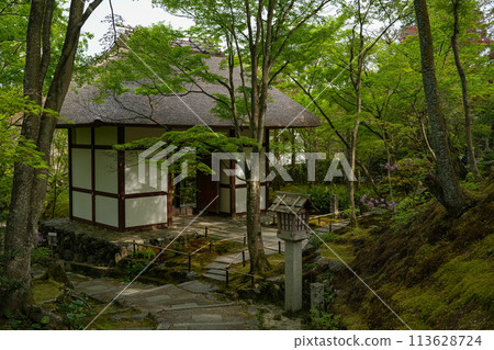 Jotokoji寺 113628724