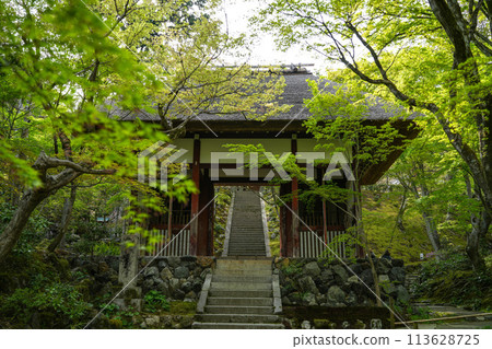 Jotokoji寺 113628725